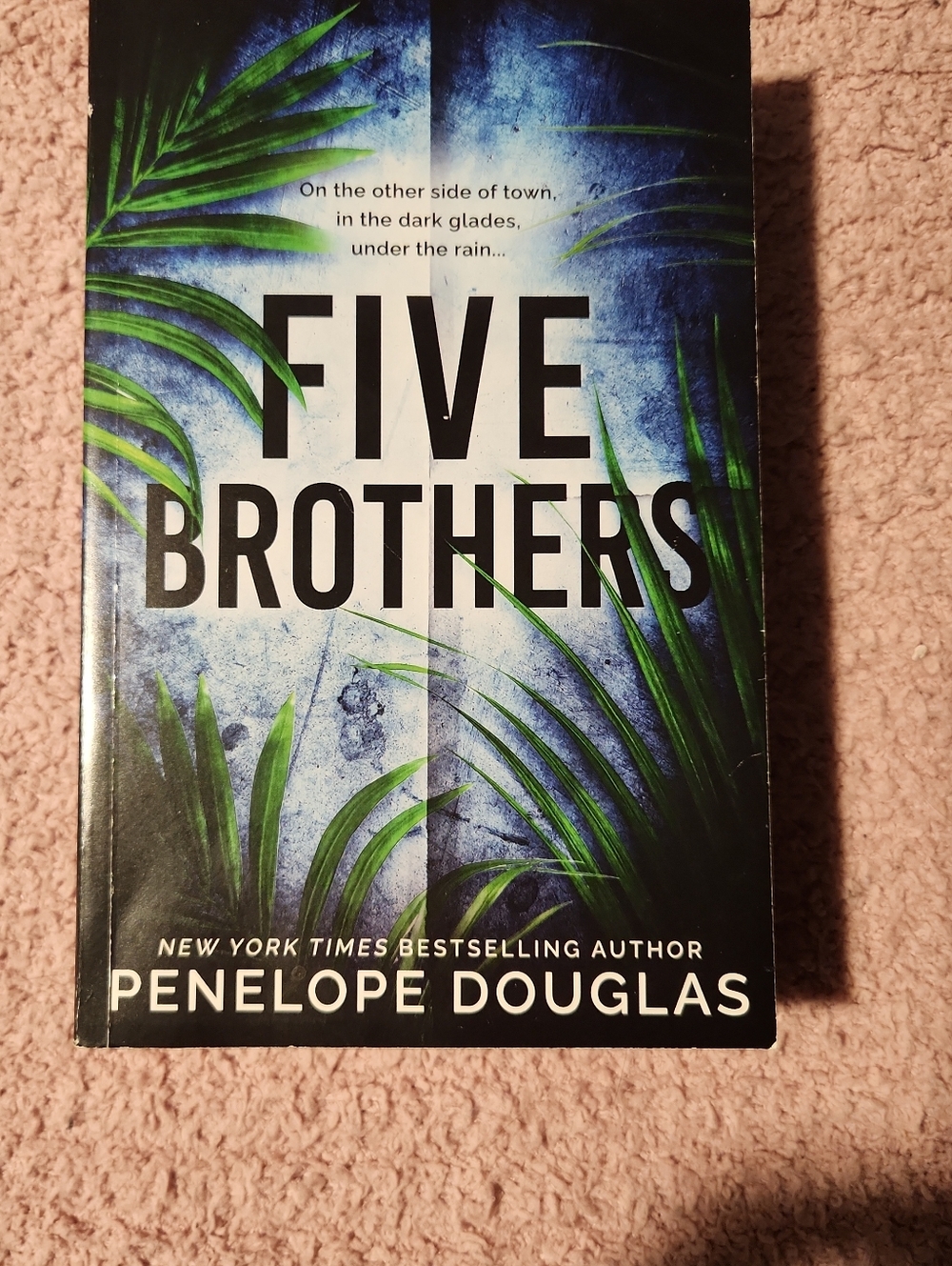 Five brothers/enimies to lovers, heavy smut🥵🥵🥵🥵🥵🥵
